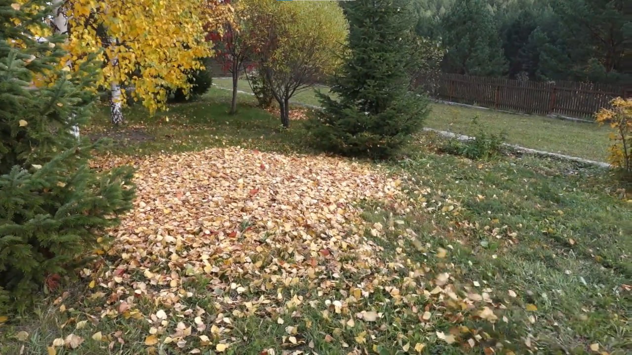 https://komsomolsk-na-amure.mslandshaft.ru/storage/app/uploads/public/642/ac5/f22/642ac5f2293e2935715739.jpg